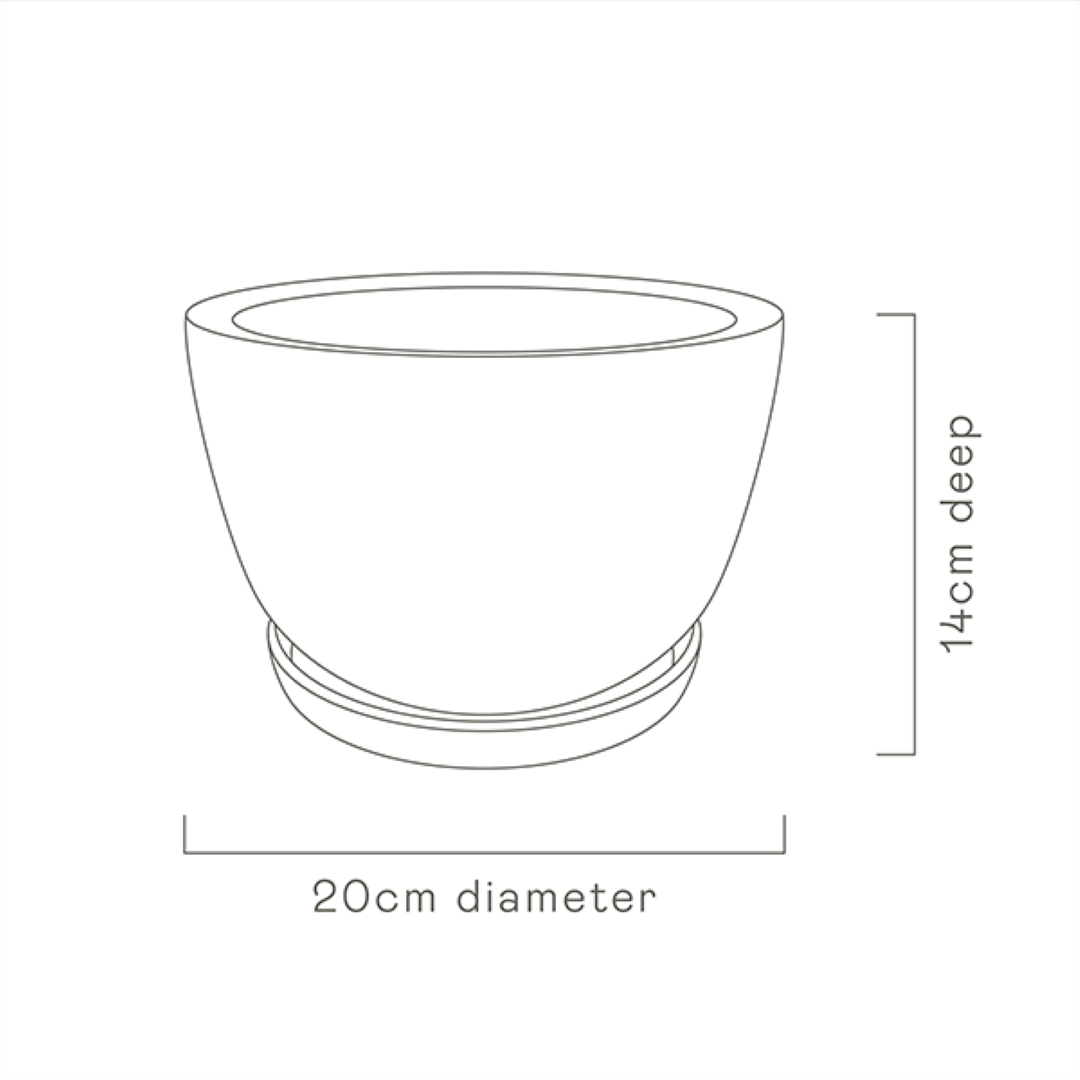 Decorative Plant Pot - Blush Leaves