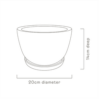 Decorative Plant Pot - Blush Leaves