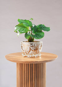 Decorative Plant Pot - Gold Garden