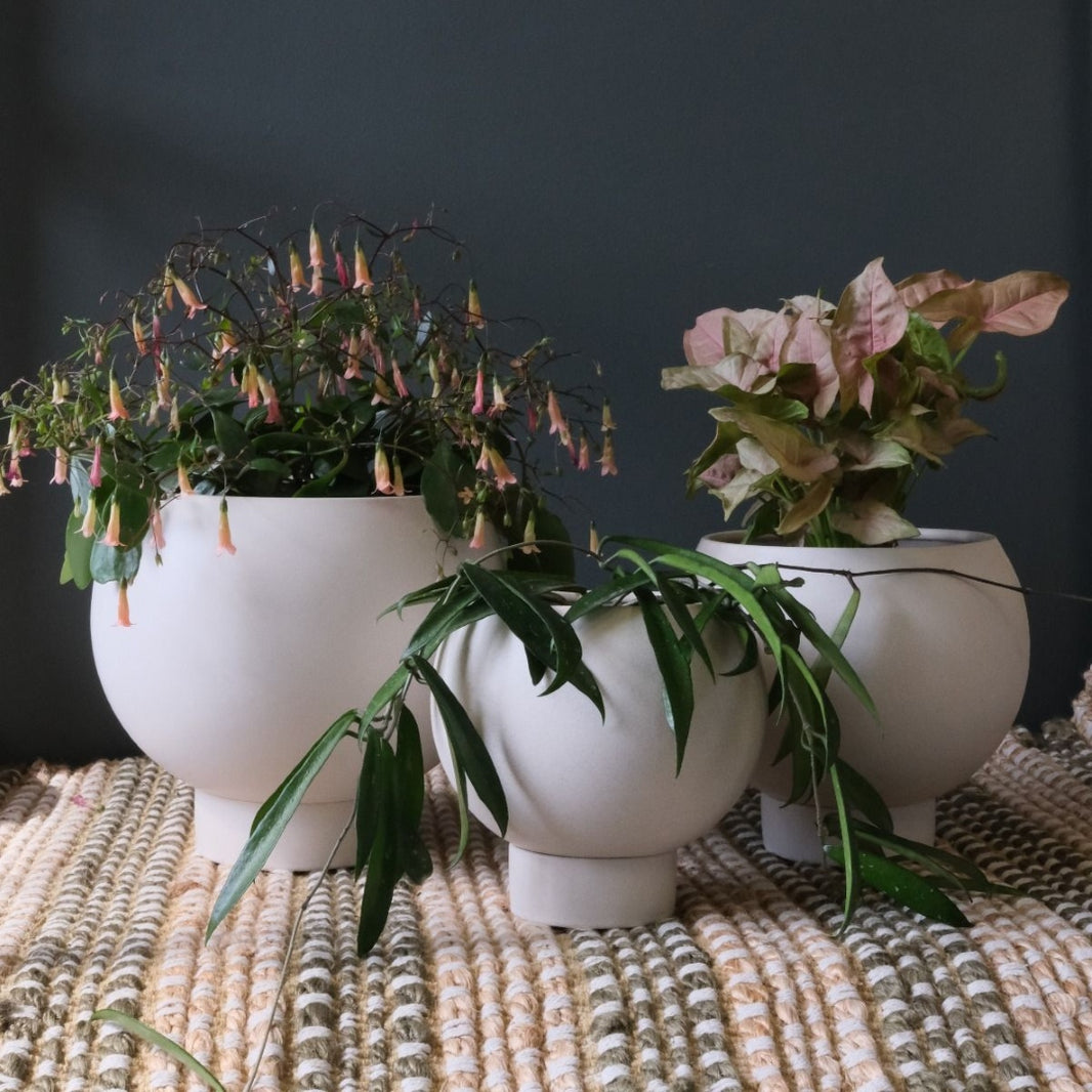 Orbit Planter Oatmeal Large