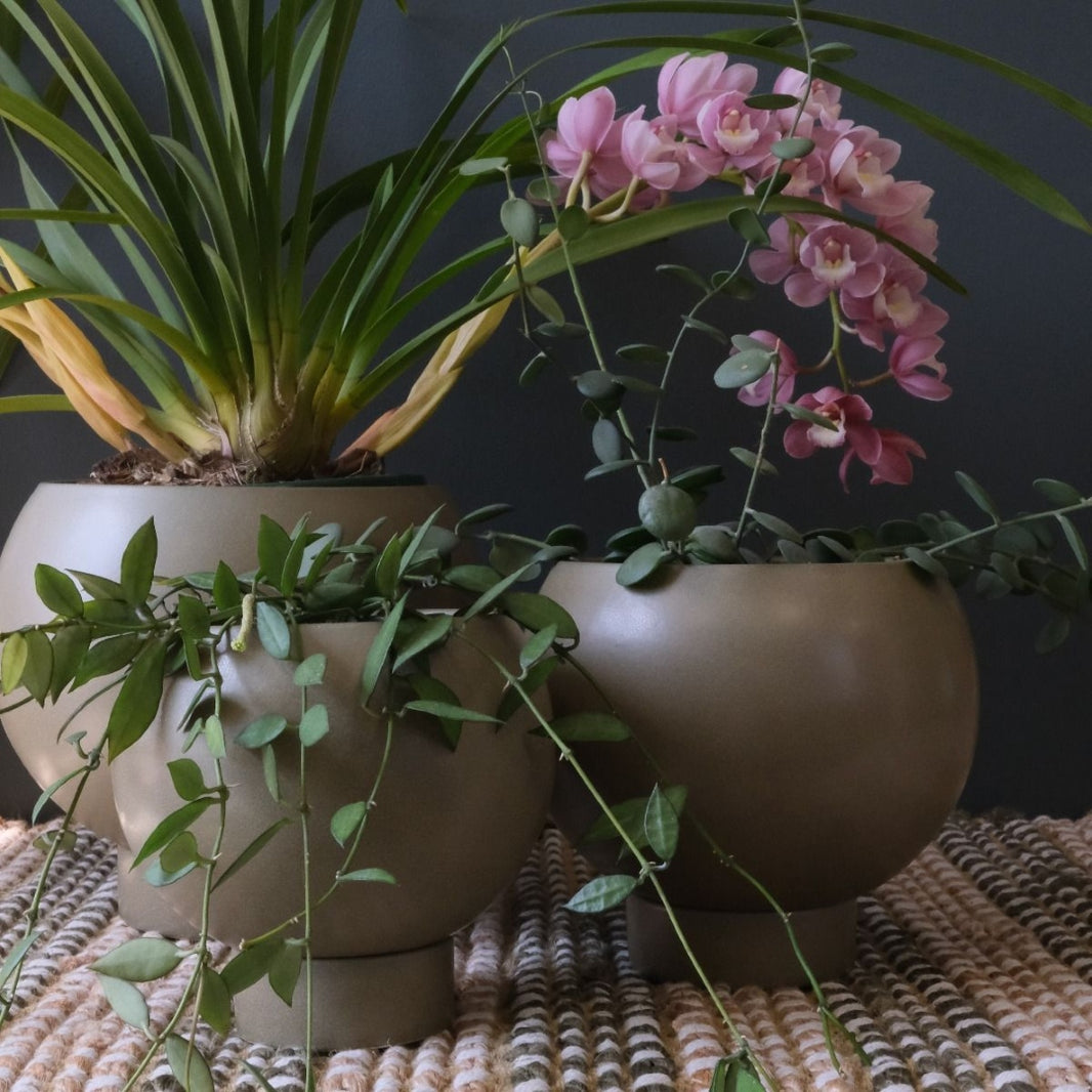 Orbit Planter Jade Large
