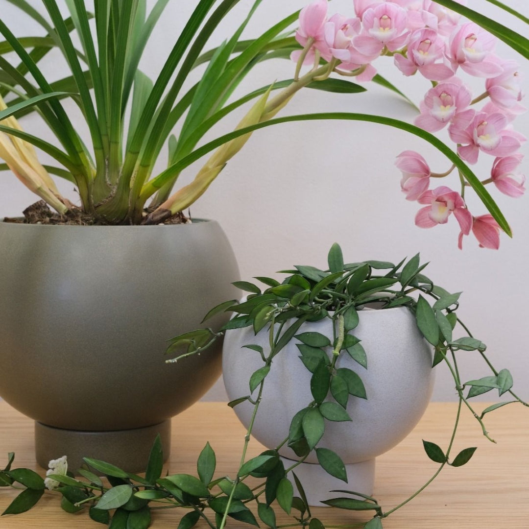 Orbit Planter Jade Large