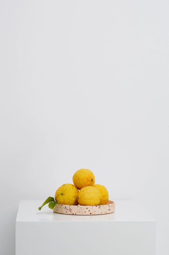 Terrazzo Medium Tray - Salt