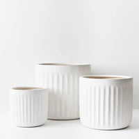 Pleat Pot Round (3 sizes)