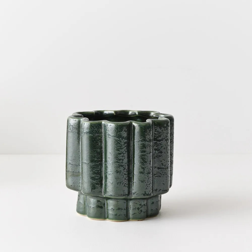 Gustel Pot Pine Small