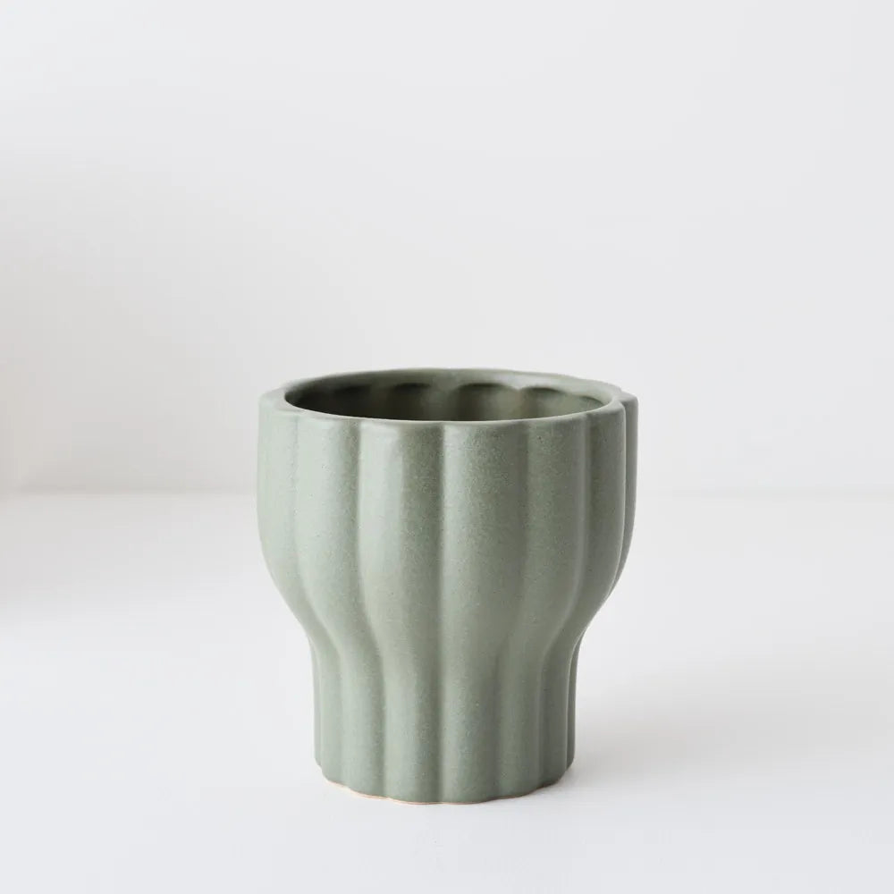 Naku Pot Olive
