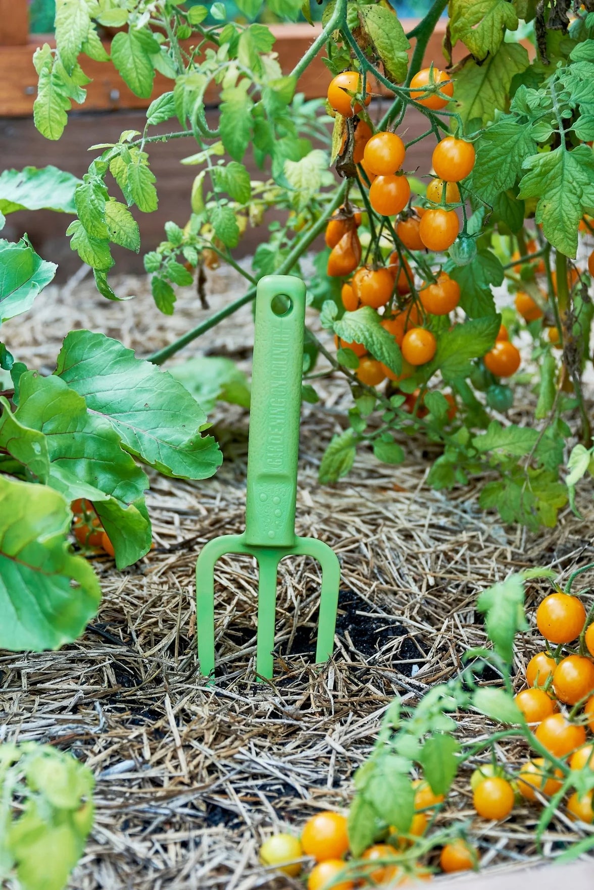 Casso Fork - Kakadu Green