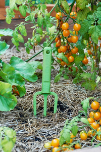 Casso Fork - Kakadu Green
