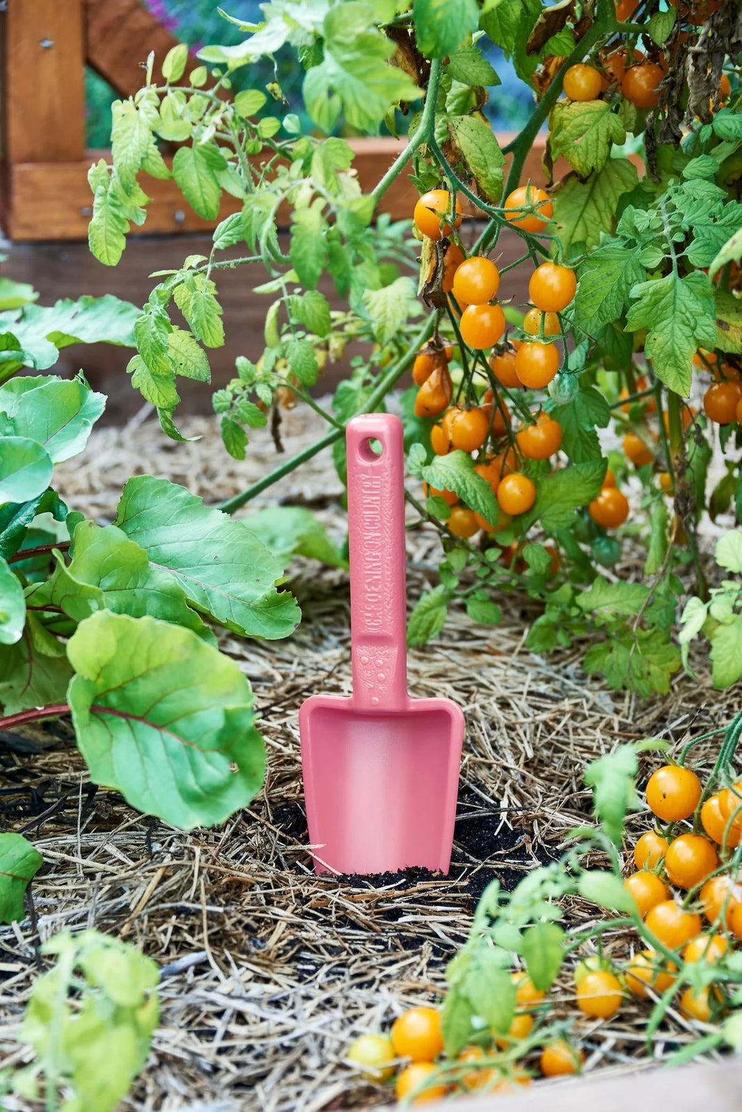 Womby Trowel - Bumbunga Pink