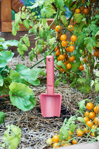 Womby Trowel - Bumbunga Pink