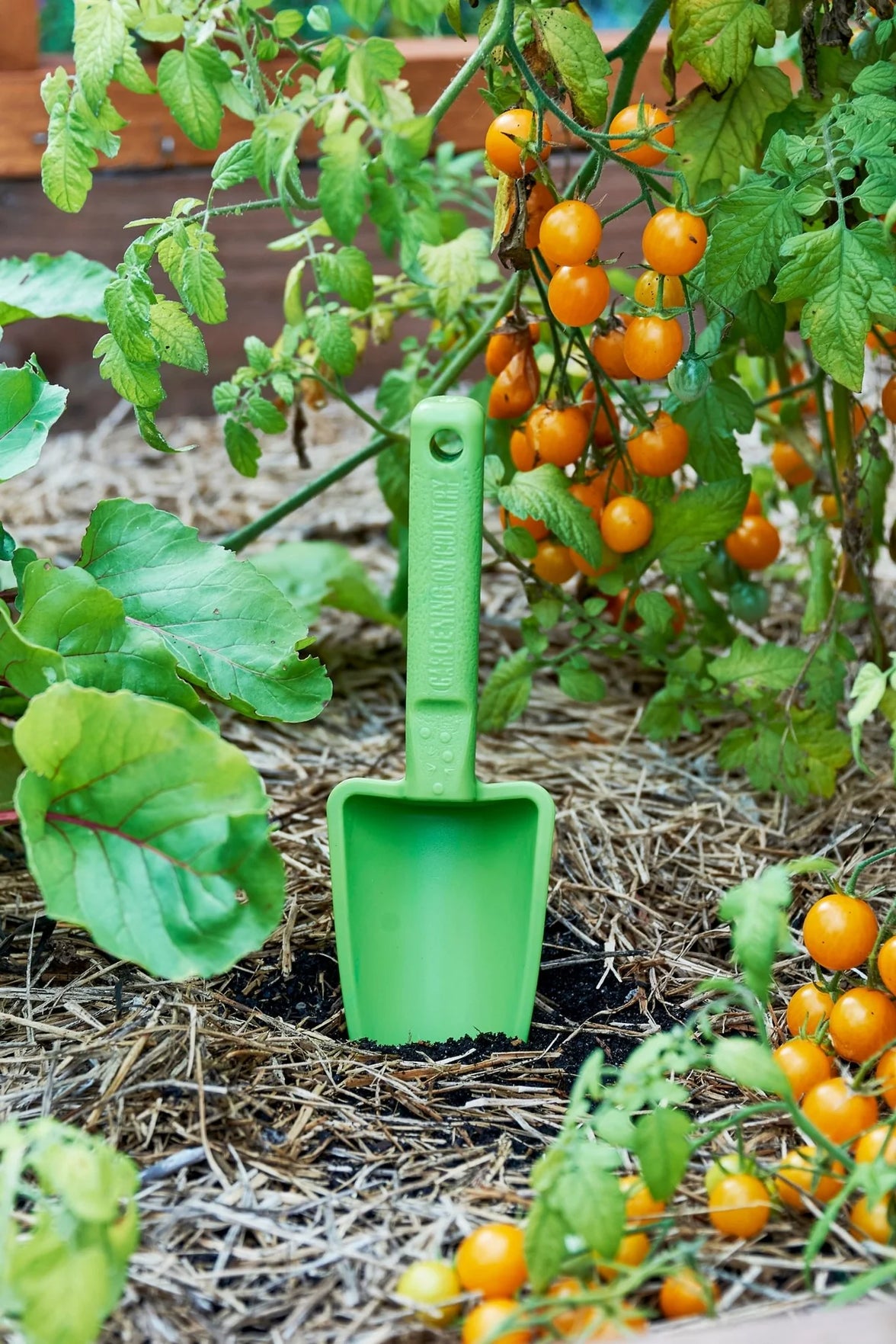 Womby Trowel - Kakadu Green