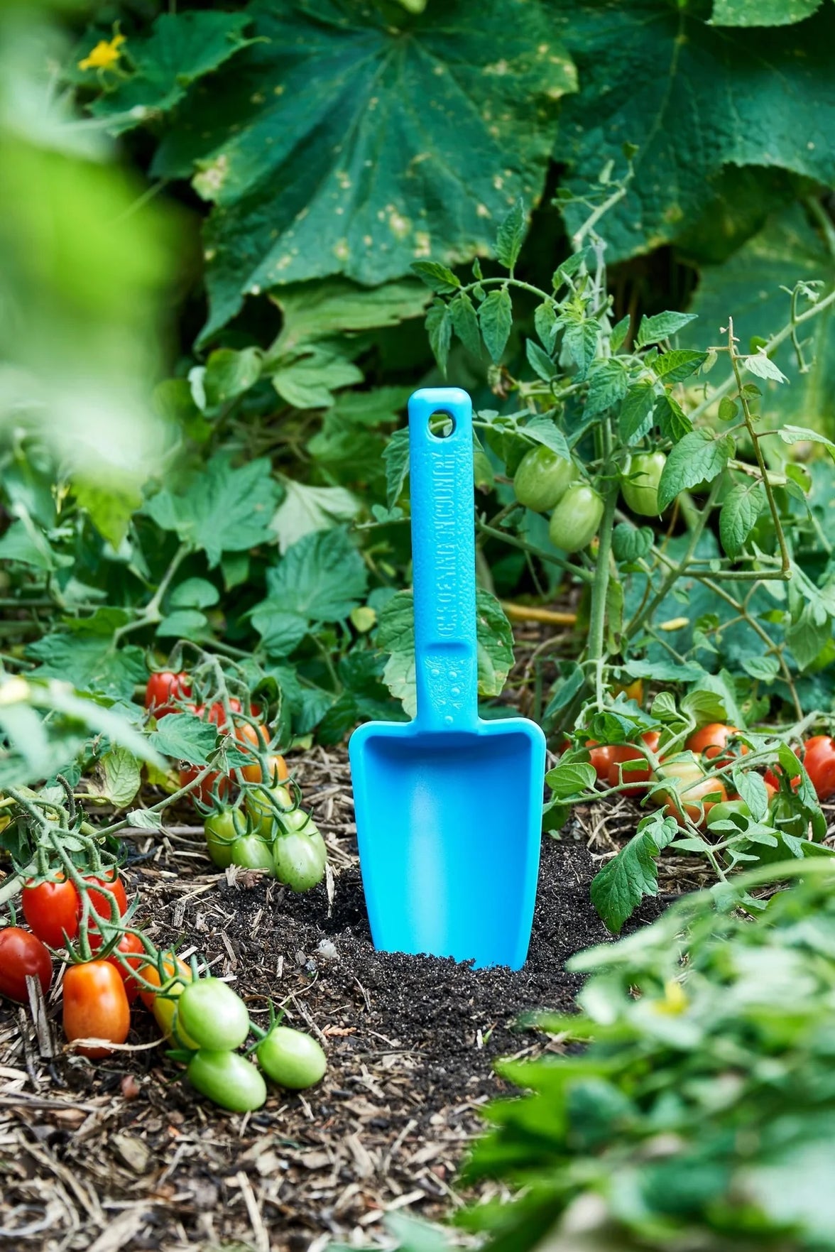 Womby Trowel - Ulysses Blue