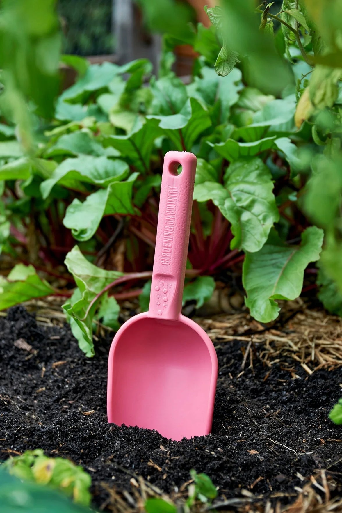 Peli Scoop - Bumbunga Pink