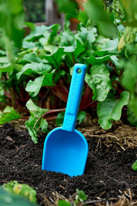 Peli Scoop - Ulysses Blue