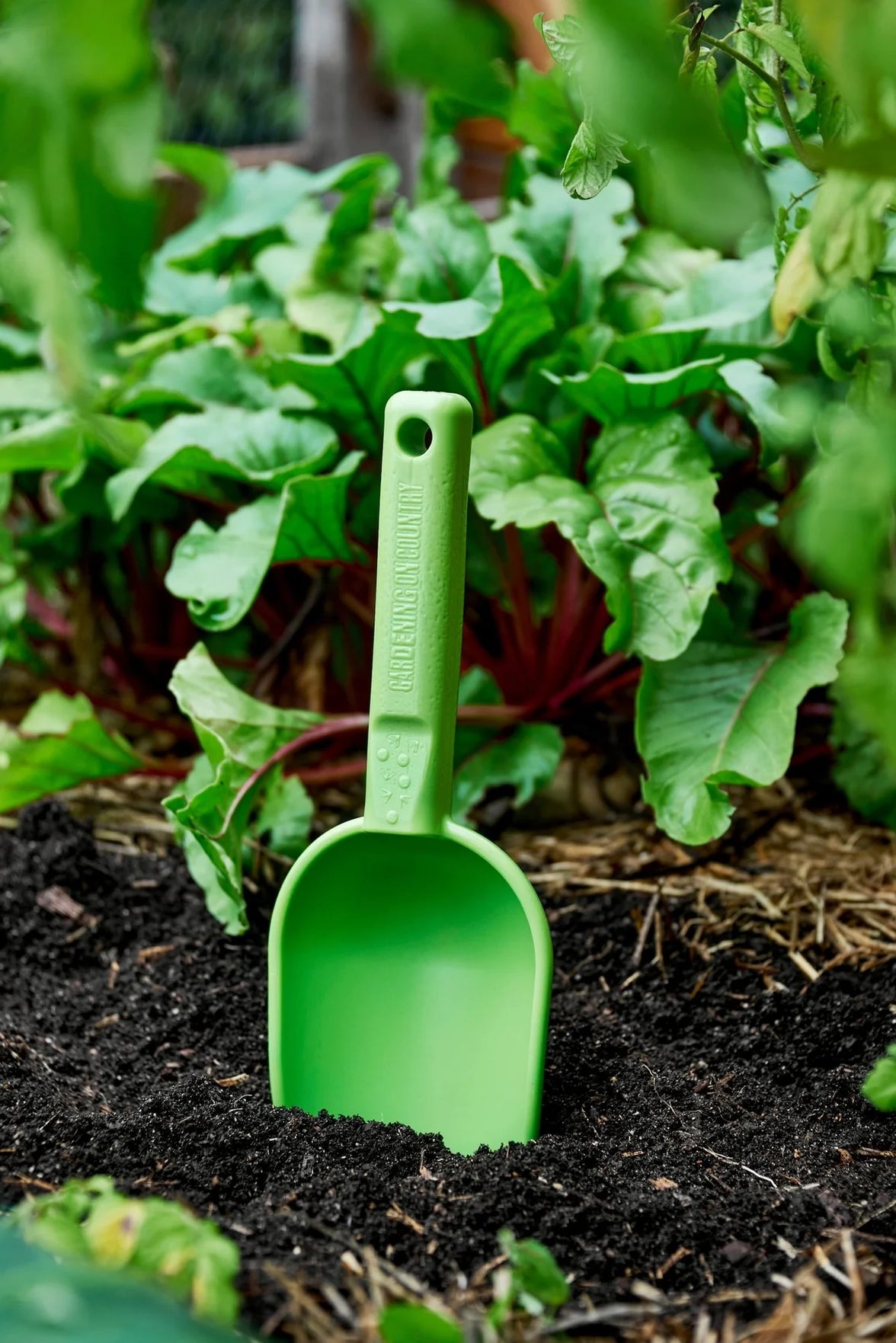 Peli Scoop - Kakadu Green