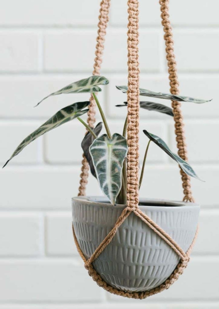 Macrame Hanging Planter Small Grey