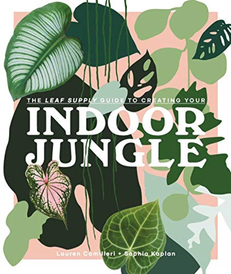 Indoor Jungle
