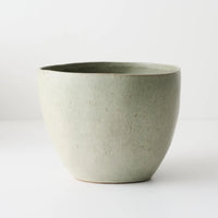 Kenji Pot