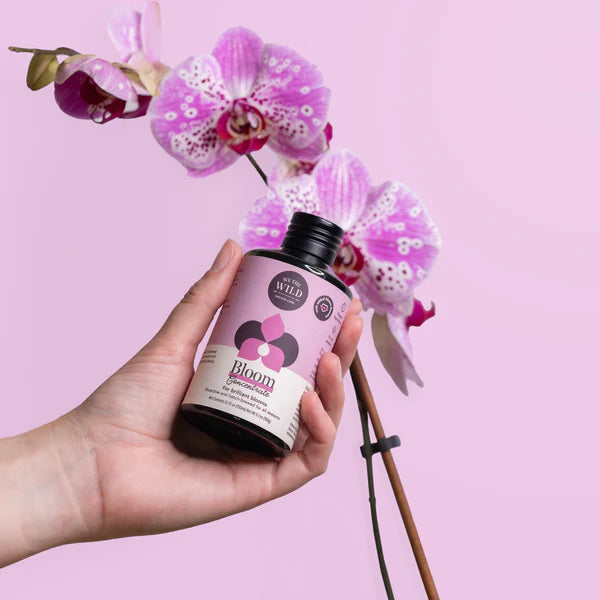 Bloom Flowering Plant Food