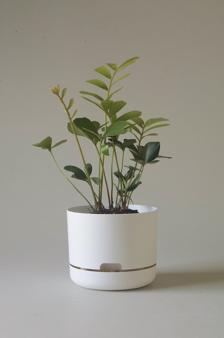 215mm Selfwatering Plant Pot