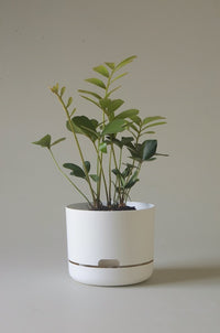 215mm Selfwatering Plant Pot