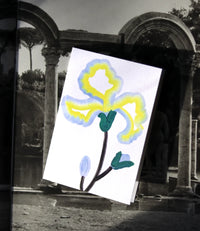 Iris Greeting Card