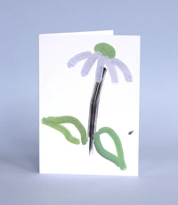 Echinacea Greeting Card