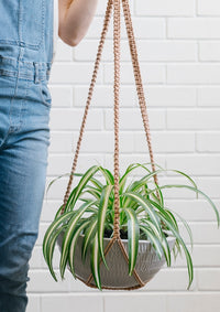 Macrame Hanging Planter Large Grey