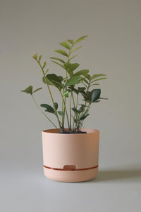 215mm Selfwatering Plant Pot