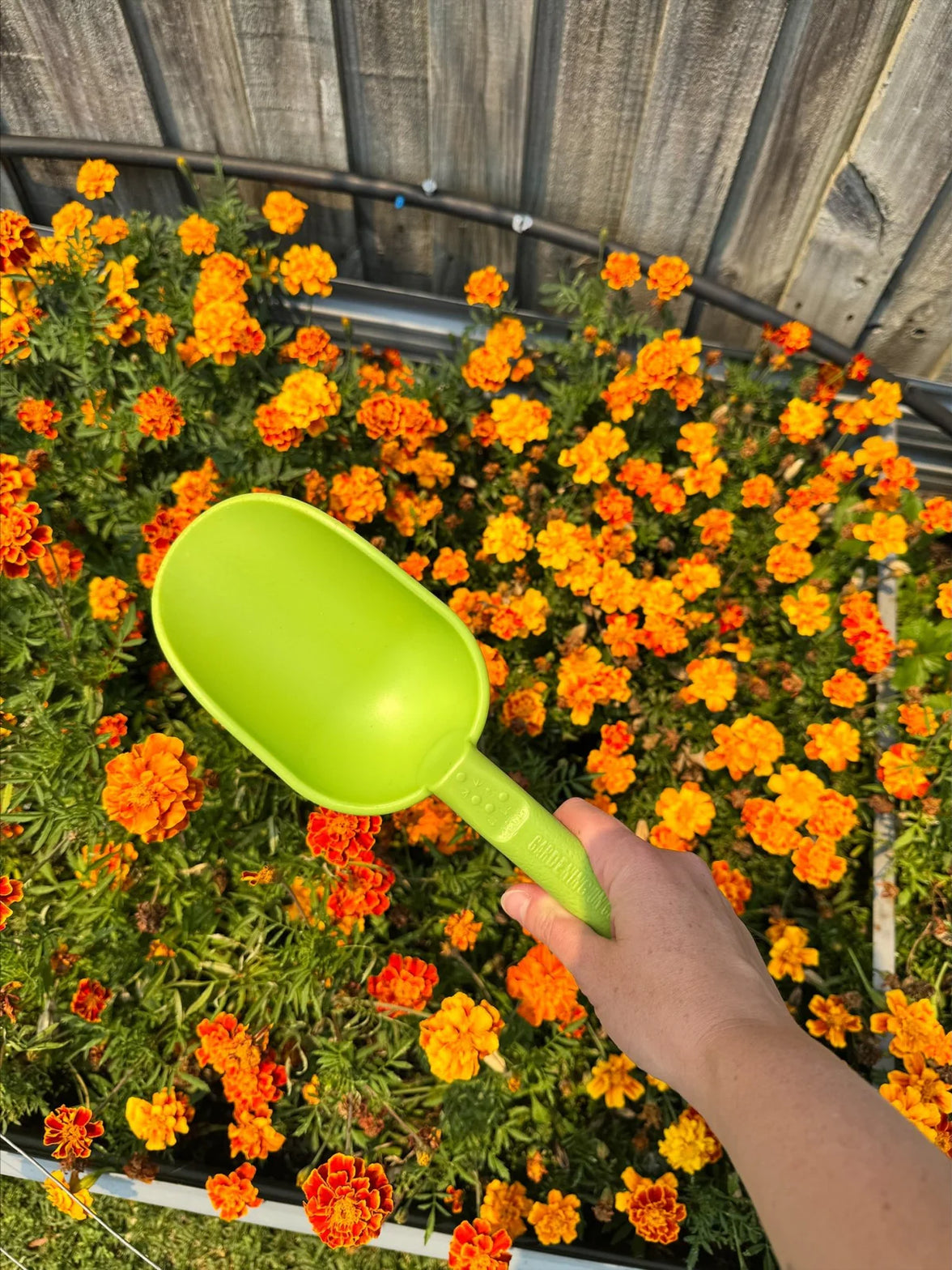 Peli Scoop - Kakadu Green