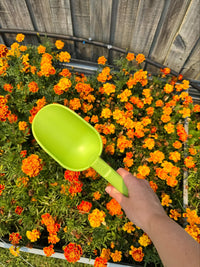 Peli Scoop - Kakadu Green