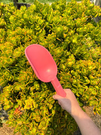 Peli Scoop - Bumbunga Pink