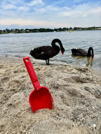 Peli Scoop - Red Earth