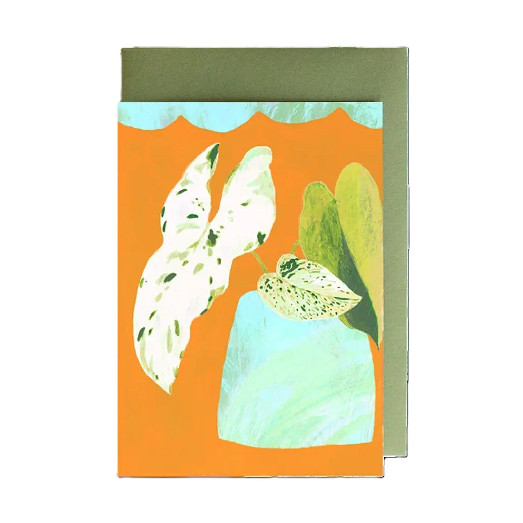 Philodendron Greeting Card