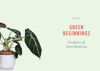 Plant Parenting for Busy People