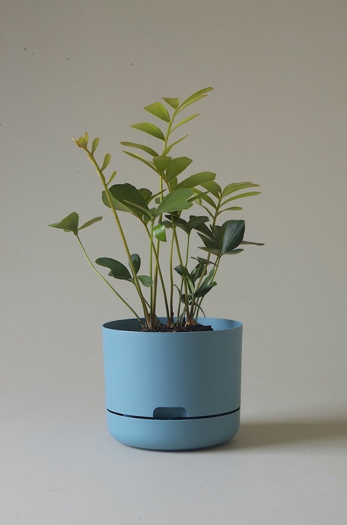 215mm Selfwatering Plant Pot