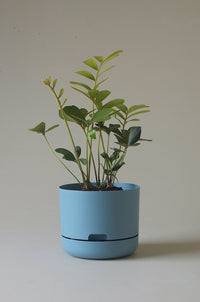 215mm Selfwatering Plant Pot