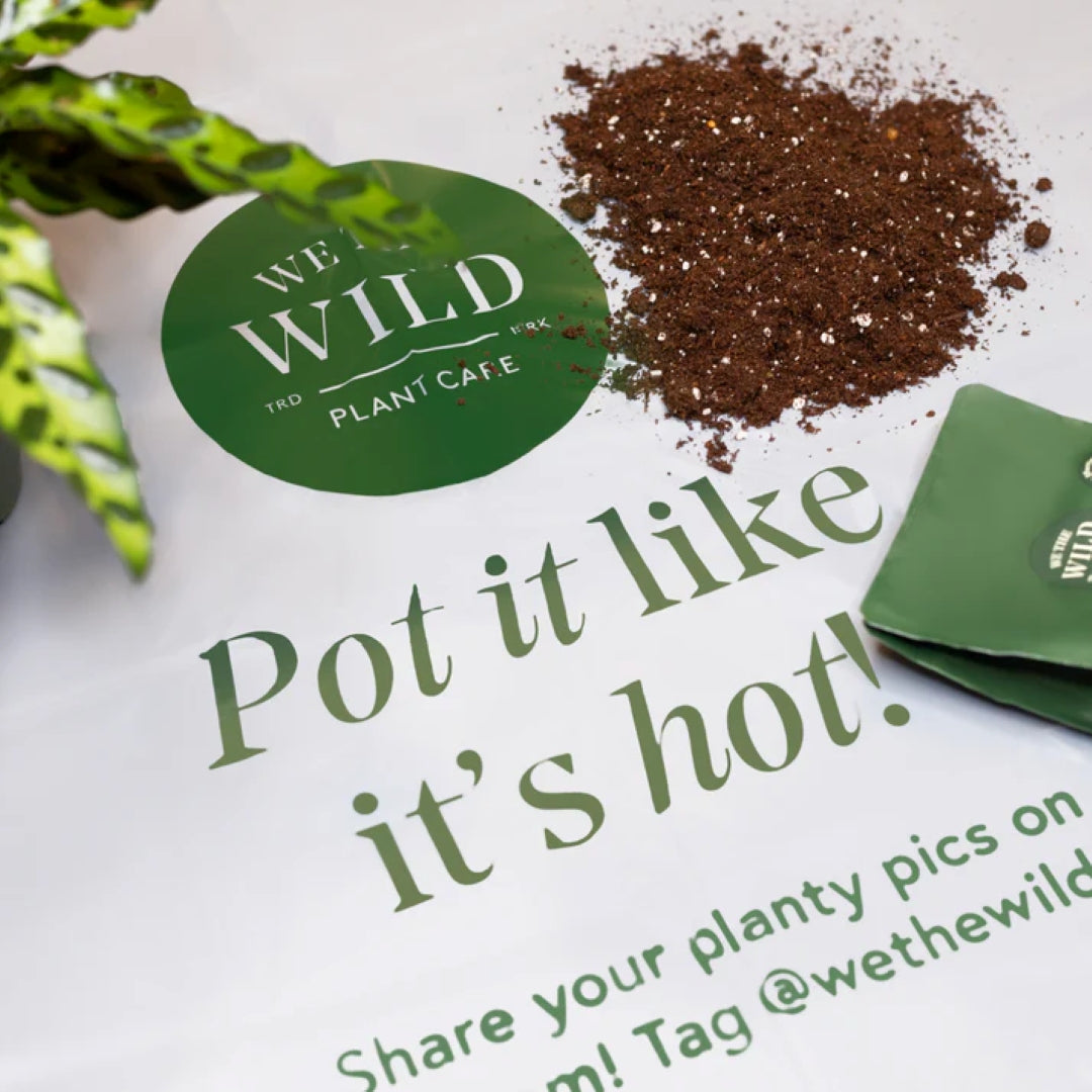 Compostable Repotting Mat