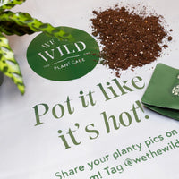 Compostable Repotting Mat