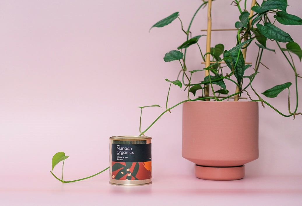 Indoor Plant Soil Food 400g