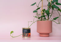 Indoor Plant Soil Food 400g