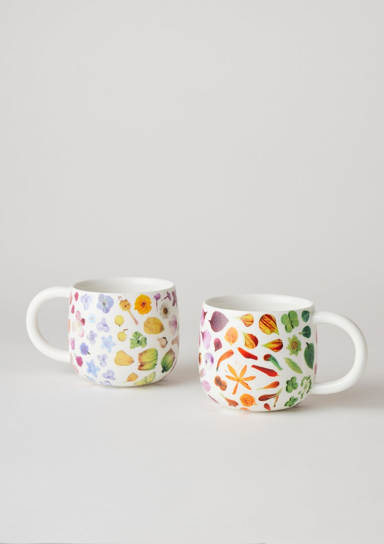 Sunny Day Mugs - Flower Rainbow (2 set)