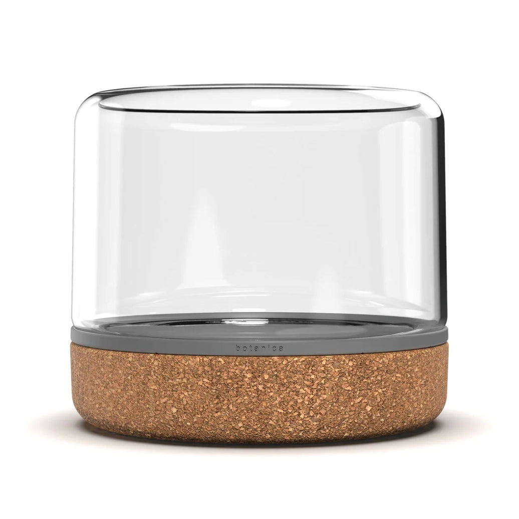 Temperate Terrarium