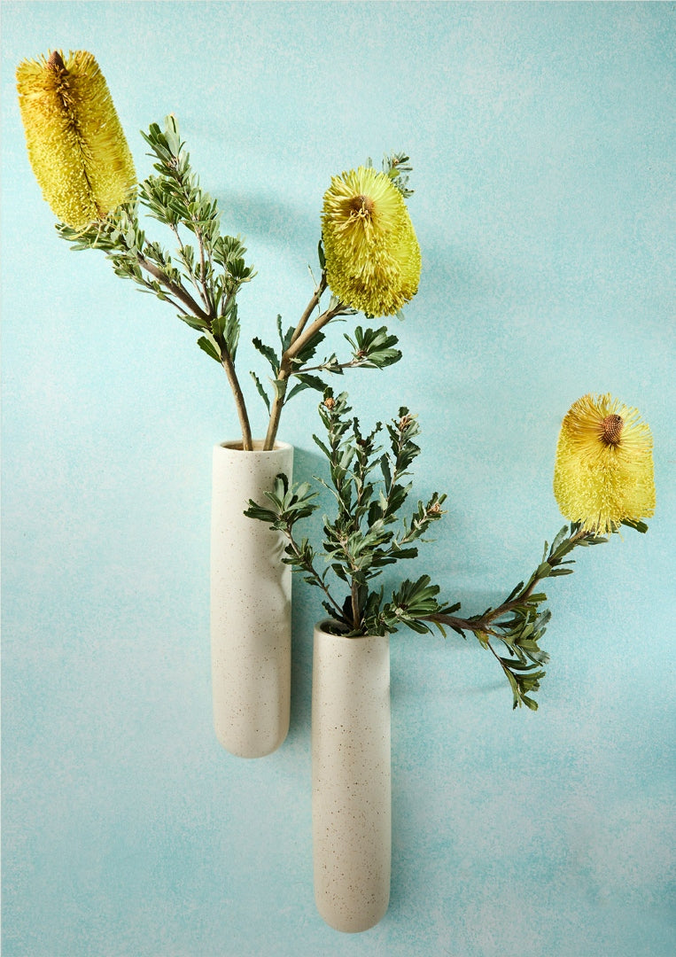 Wall Vase - Oatmeal