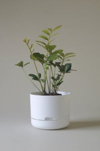 215mm Selfwatering Plant Pot