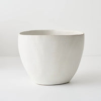 Kenji Pot