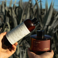 Cactus Flower (Sweetwater Creek) Eco Reed Diffuser Refill